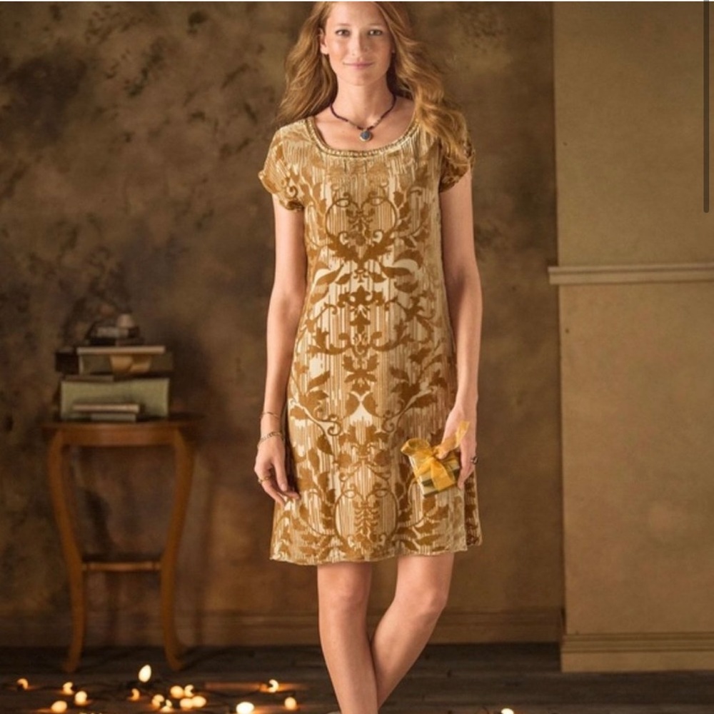 Sundance Gold Burnout Velvet dress Champagne Vineyard